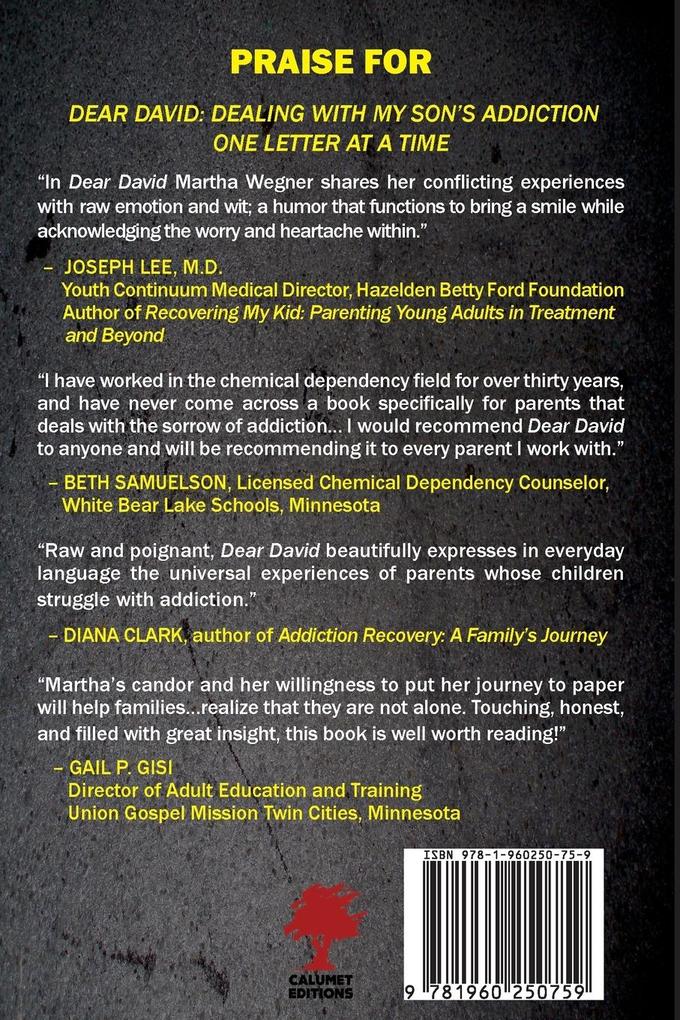 Weitere Ansicht: Dear David | Martha Wegner