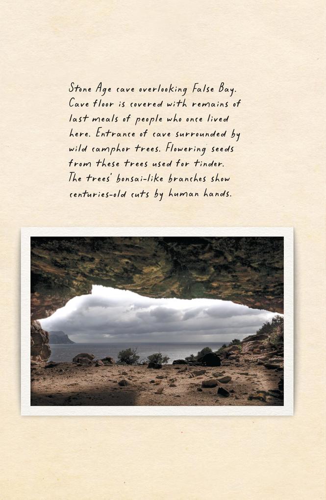 Weitere Ansicht: Amphibious Soul | Criag Foster