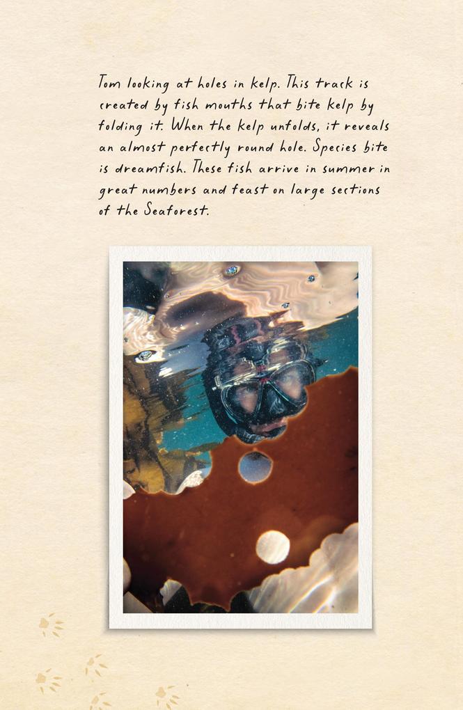 Weitere Ansicht: Amphibious Soul | Criag Foster