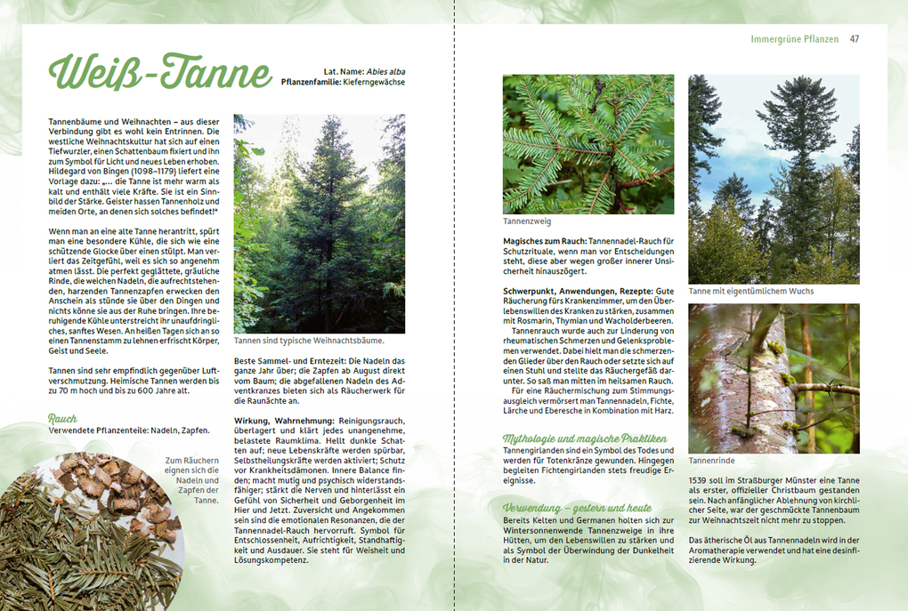 Weitere Ansicht: Räuchern im Einklang mit der Natur | Romana Seunig