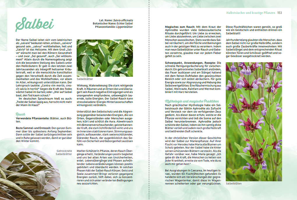 Weitere Ansicht: Räuchern im Einklang mit der Natur | Romana Seunig