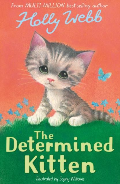 Produktbild: The Determined Kitten | Holly Webb