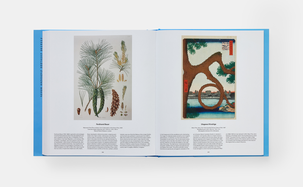 Weitere Ansicht: Tree | Tony Kirkham, Phaidon Editors