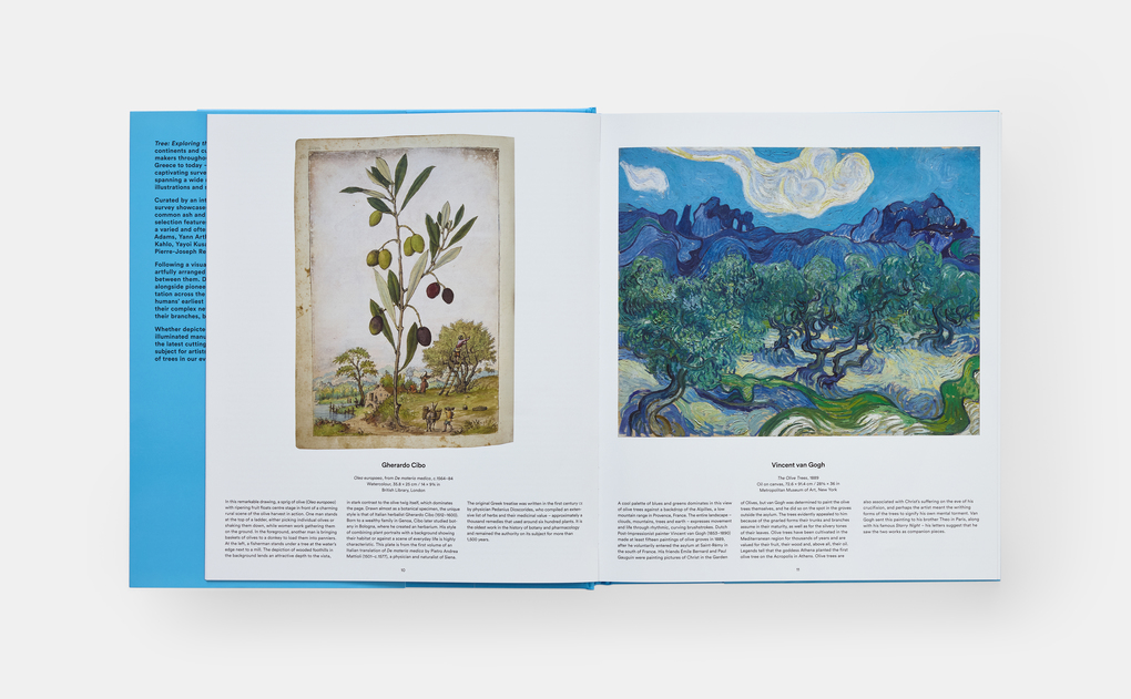 Weitere Ansicht: Tree | Tony Kirkham, Phaidon Editors