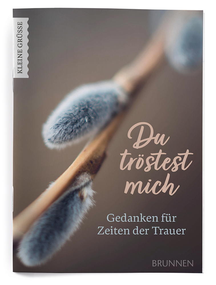 Weitere Ansicht: Du tröstest mich