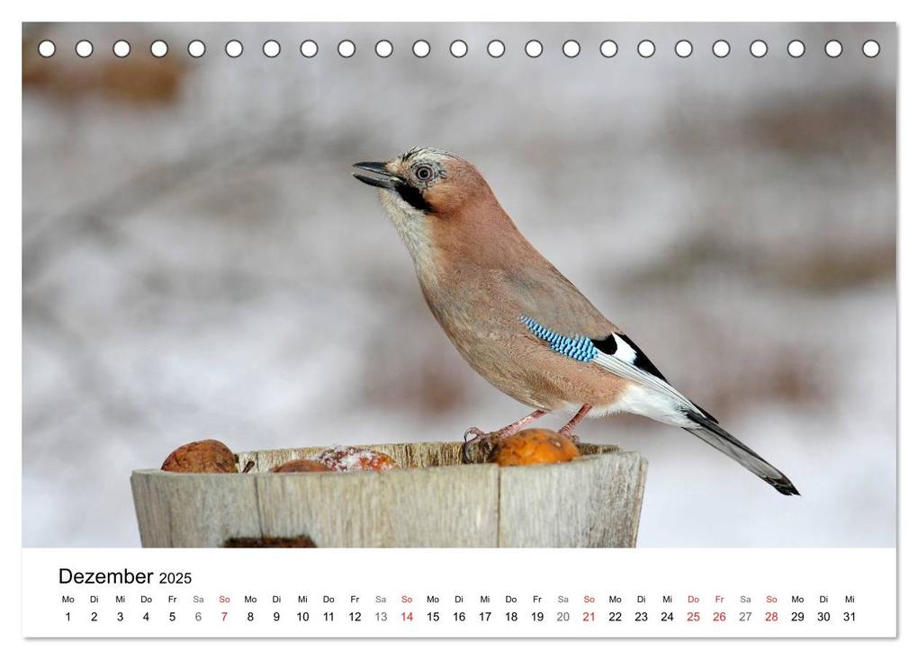 Weitere Ansicht: Heimische Tierwelt (Tischkalender 2025 DIN A5 quer), CALVENDO Monatskalender | Benny Trapp, Calvendo