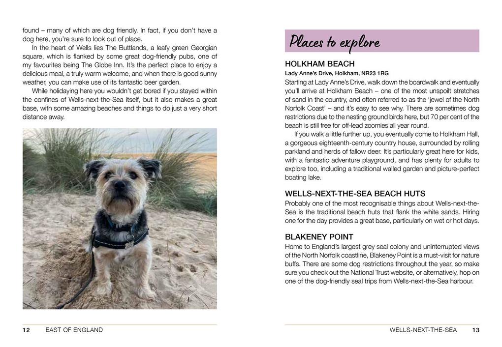 Weitere Ansicht: Follow My Lead | Emily Gill