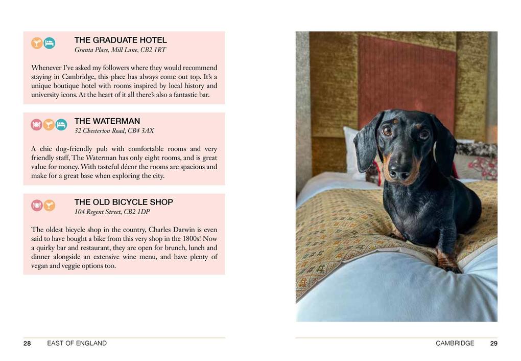 Weitere Ansicht: Follow My Lead | Emily Gill