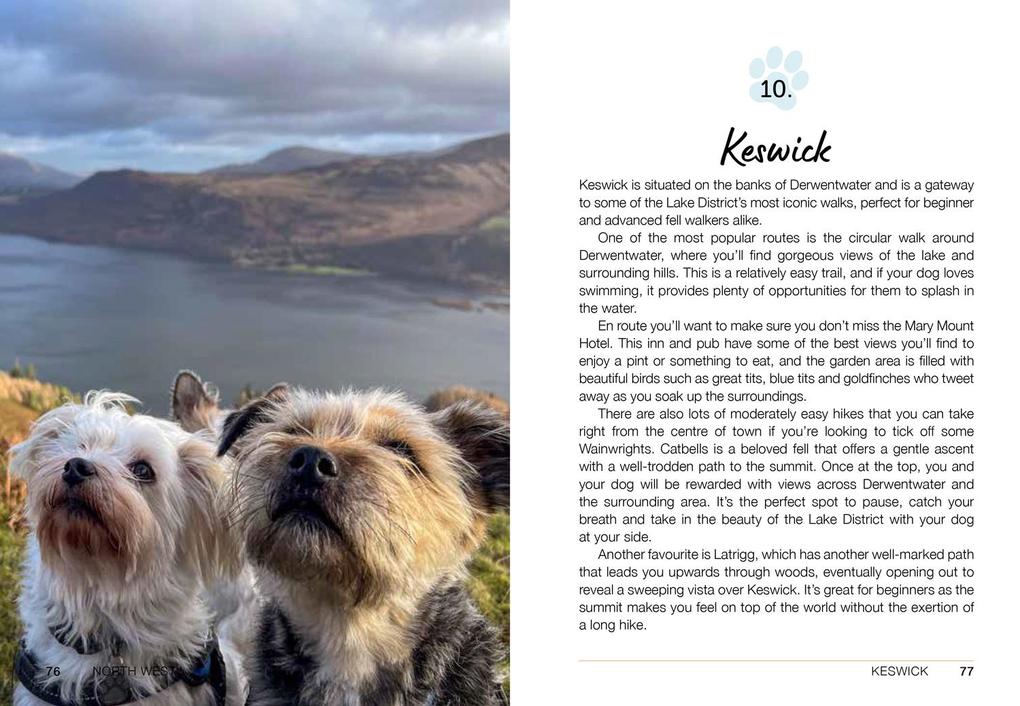 Weitere Ansicht: Follow My Lead | Emily Gill