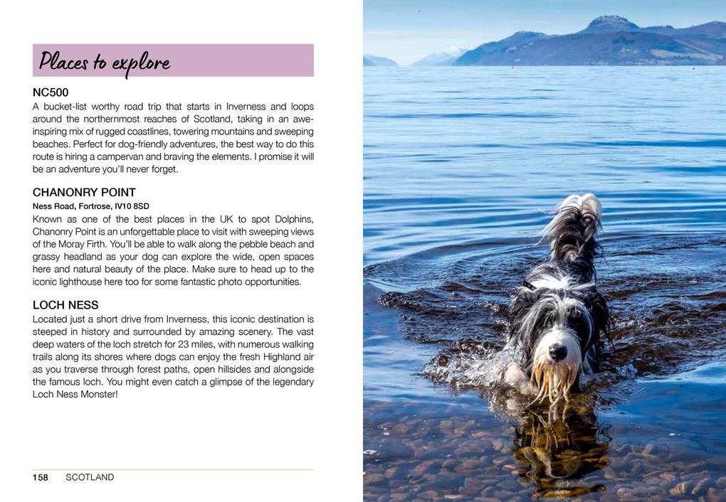 Weitere Ansicht: Follow My Lead | Emily Gill