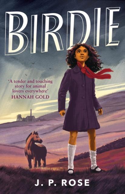 Produktbild: Birdie | J P Rose