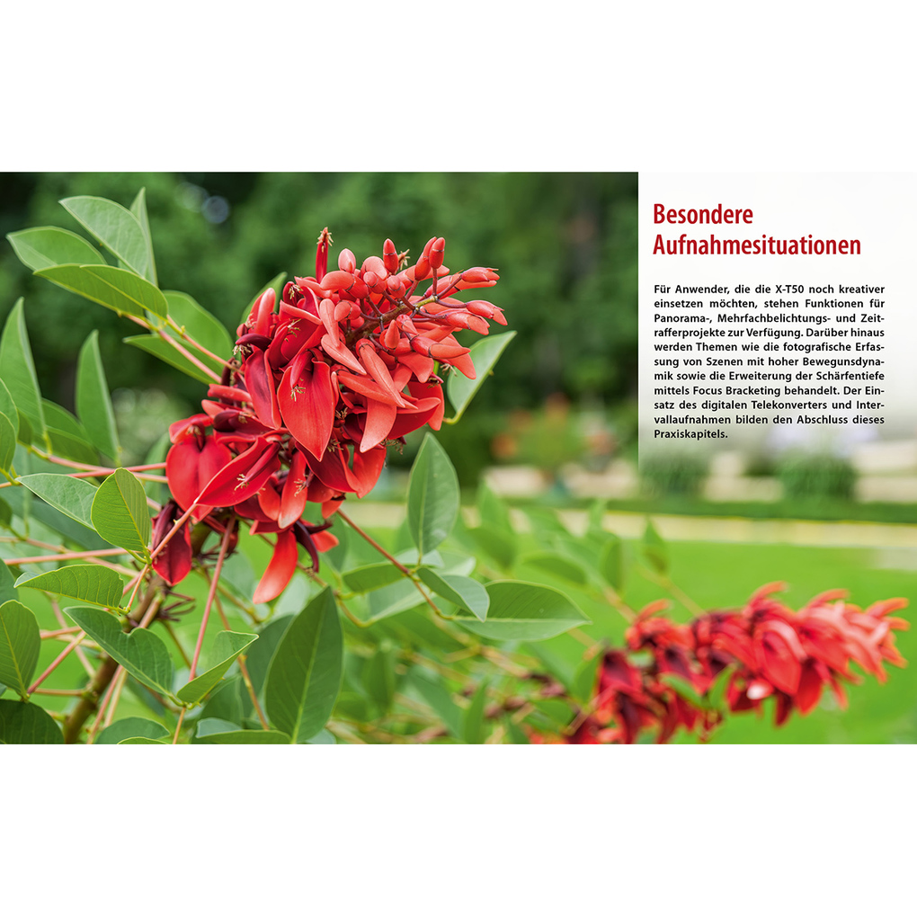 Weitere Ansicht: Fujifilm X-T50: Das umfangreiche Praxisbuch zu Ihrer Kamera | Kyra Sänger, Christian Sänger