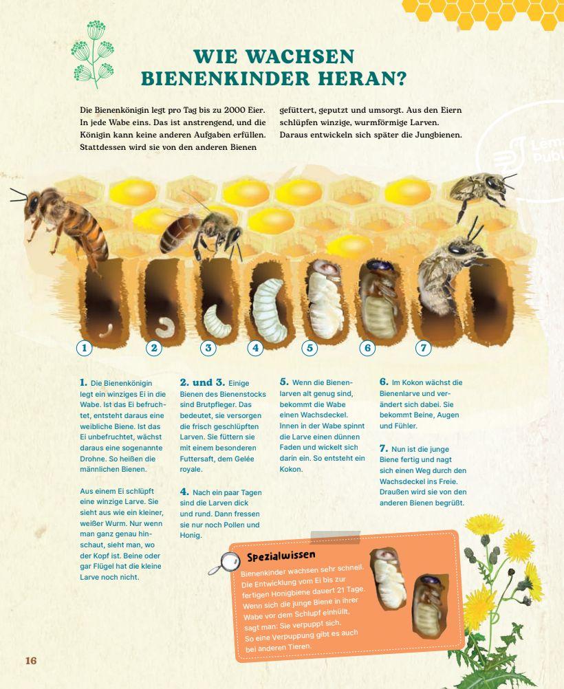 Weitere Ansicht: Bienen | Johanna Prinz