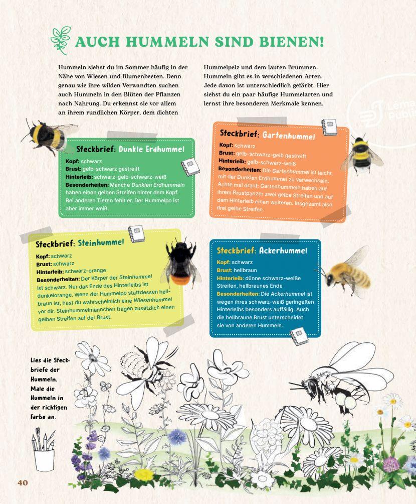 Weitere Ansicht: Bienen | Johanna Prinz