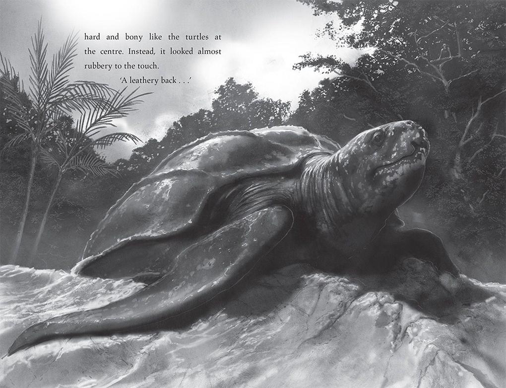 Weitere Ansicht: Turtle Moon | Hannah Gold