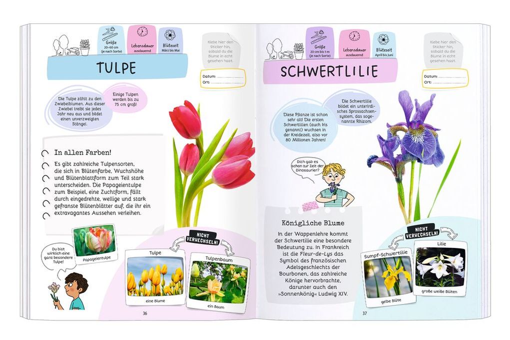 Weitere Ansicht: Expedition Natur Rätseln, Stickern, Bestimmen - Blumen