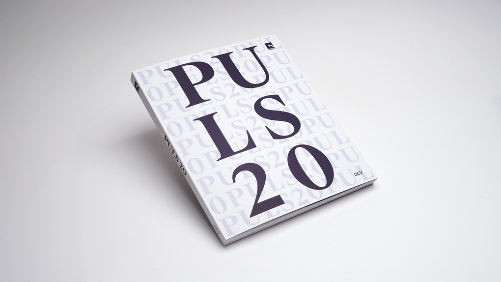 Weitere Ansicht: PULS 20 - New Entries in the MNAC Collection | Clin Dan, Ruxandra Demetrescu, Calin Dan