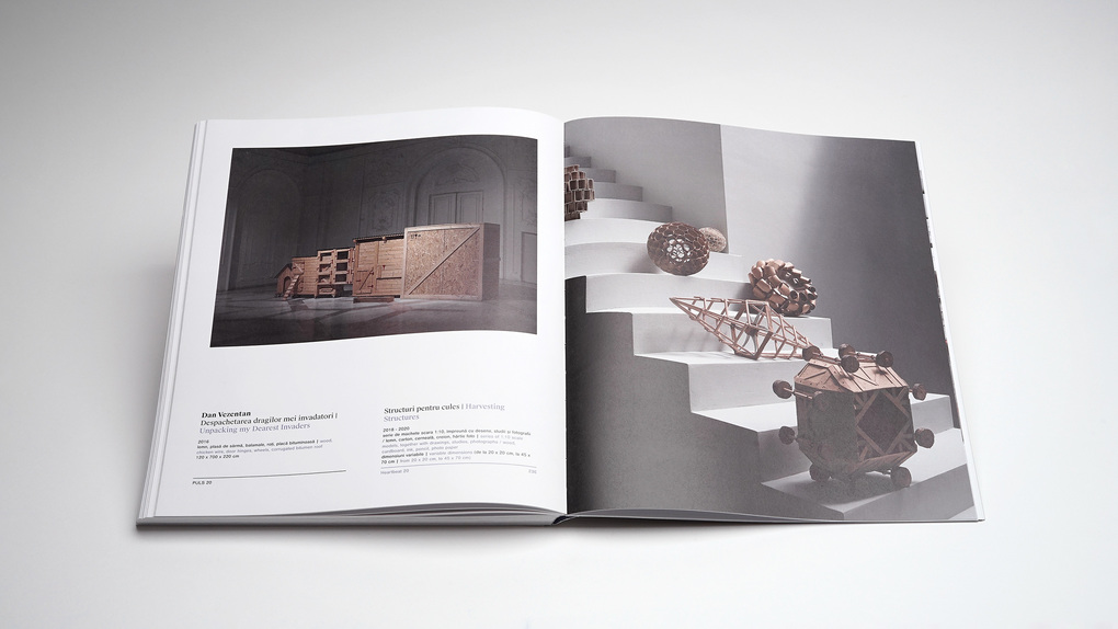 Weitere Ansicht: PULS 20 - New Entries in the MNAC Collection | Clin Dan, Ruxandra Demetrescu, Calin Dan
