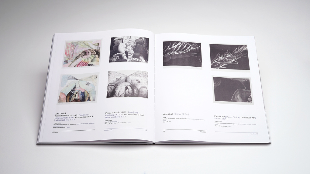 Weitere Ansicht: PULS 20 - New Entries in the MNAC Collection | Clin Dan, Ruxandra Demetrescu, Calin Dan