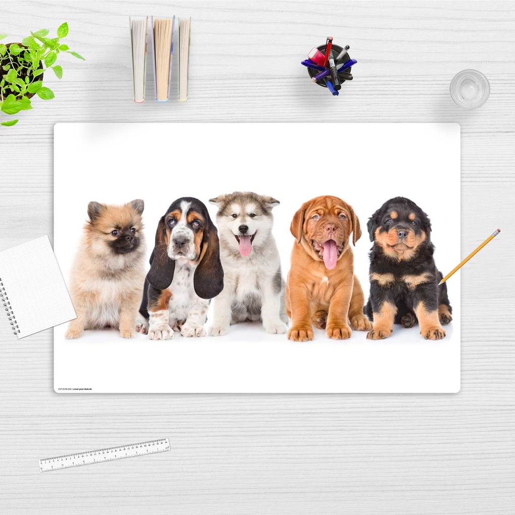 Weitere Ansicht: Cover-your-desk Schreibtischunterlage für Kinder 5 süße Hundewelpen, aus hochwertigem Vinyl , 60 x 40 cm