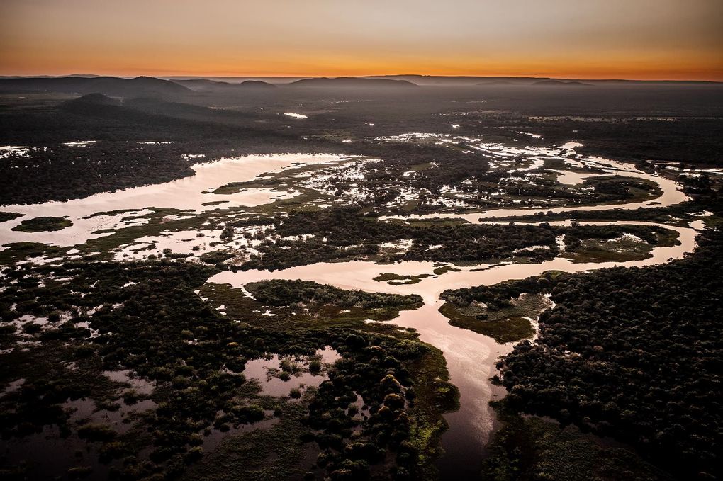 Weitere Ansicht: Pantanal | Martin Köppert