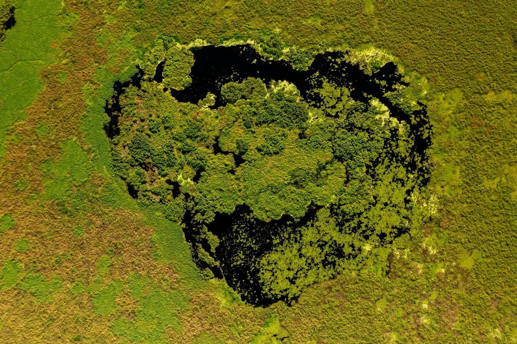 Weitere Ansicht: Pantanal | Martin Köppert