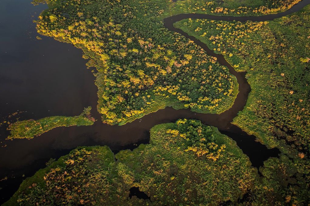 Weitere Ansicht: Pantanal | Martin Köppert