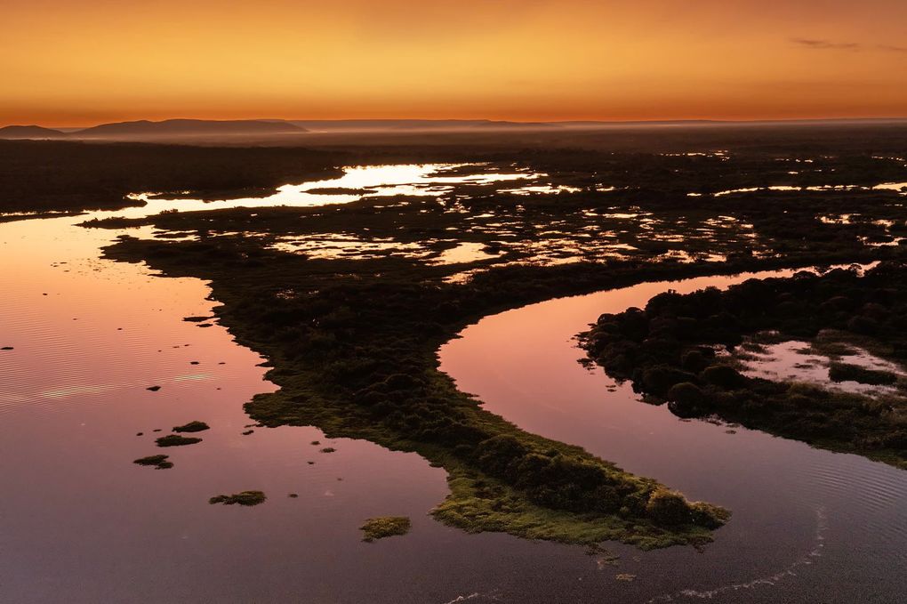 Weitere Ansicht: Pantanal | Martin Köppert