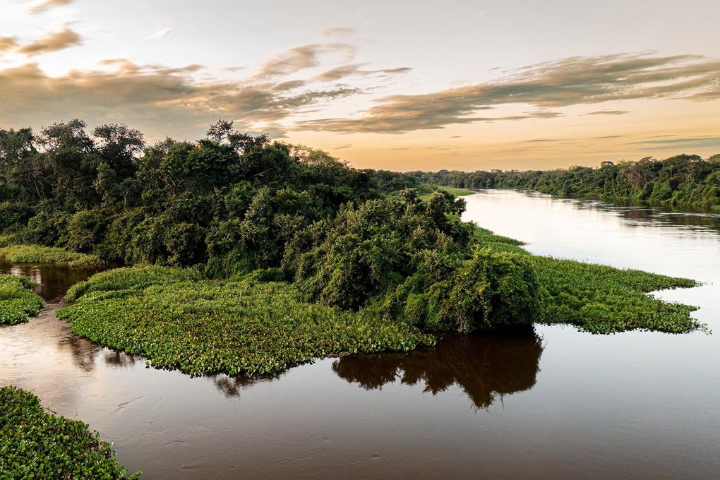 Weitere Ansicht: Pantanal | Martin Köppert