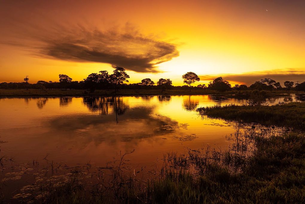 Weitere Ansicht: Pantanal | Martin Köppert