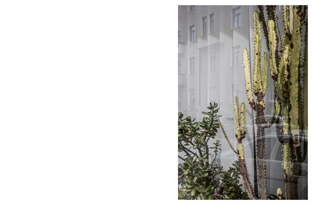 Weitere Ansicht: München - Streifzüge | Tobias Meier