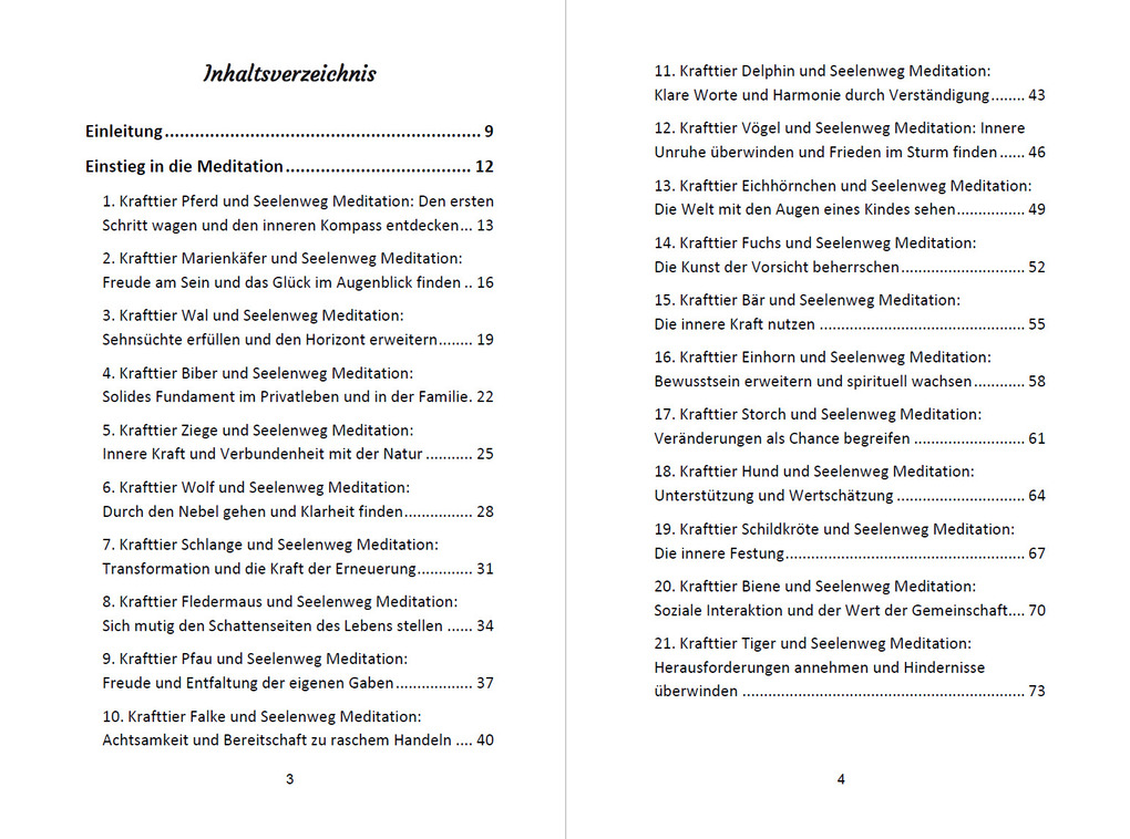 Weitere Ansicht: 52 Seelenweg und Krafttier Meditationen | Angelina Schulze