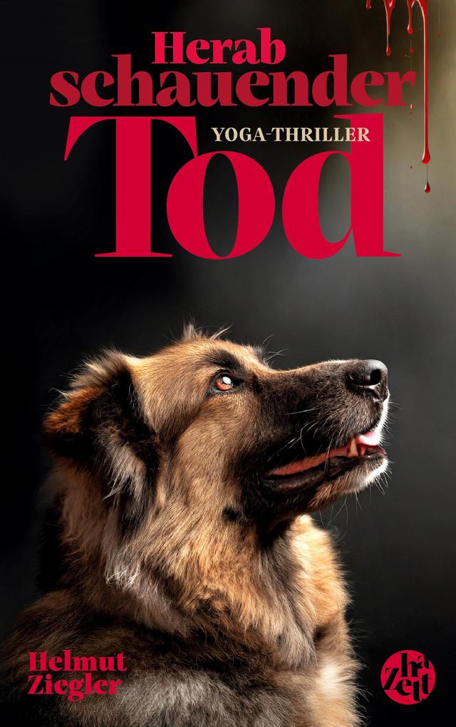 Produktbild: Herabschauender Tod | Helmut Ziegler
