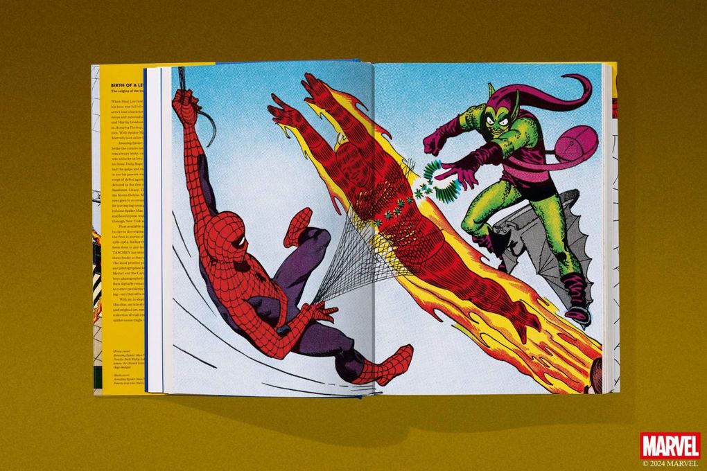 Weitere Ansicht: Marvel Comics Library. Spider-Man. 1962-1964 | Ralph Macchio