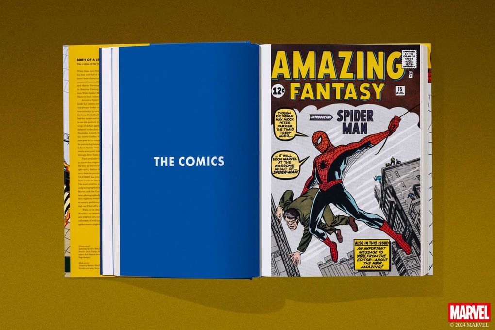 Weitere Ansicht: Marvel Comics Library. Spider-Man. 1962-1964 | Ralph Macchio