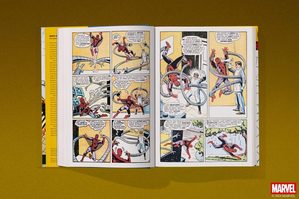 Weitere Ansicht: Marvel Comics Library. Spider-Man. 1962-1964 | Ralph Macchio
