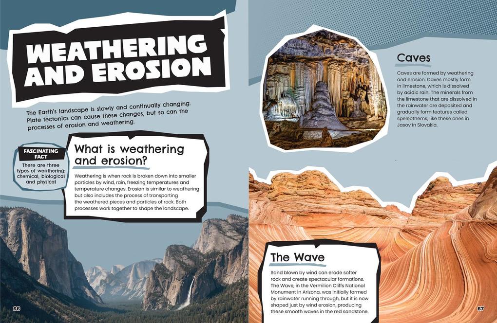 Weitere Ansicht: The World | Collins Kids