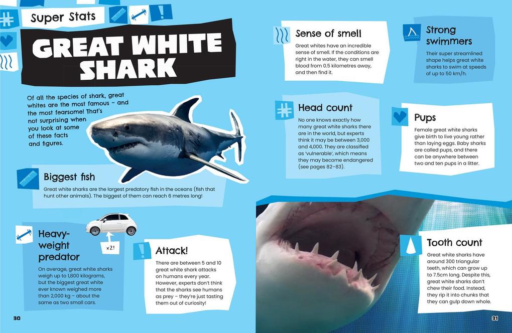 Weitere Ansicht: Animals | Collins Kids