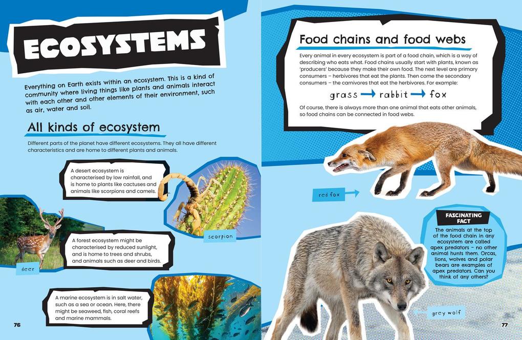 Weitere Ansicht: Animals | Collins Kids