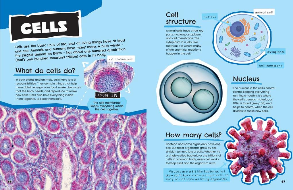 Weitere Ansicht: Science | Collins Kids