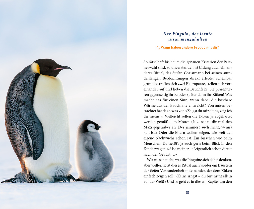 Weitere Ansicht: Der Pinguin, der fliegen lernte | Eckart Hirschhausen