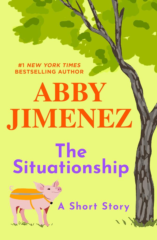 Produktbild: The Situationship | Abby Jimenez