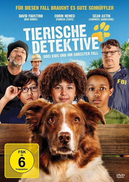 Cover des Mediums