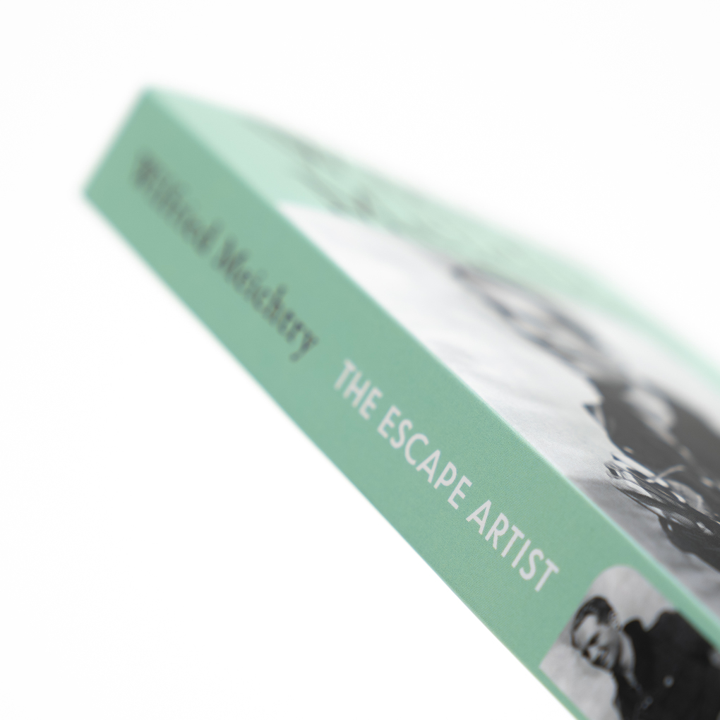 Weitere Ansicht: The Escape Artist | Wilfried Meichtry