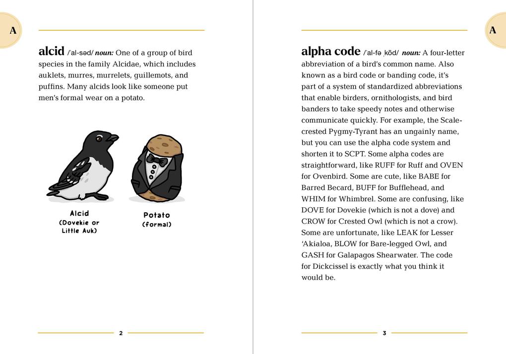 Weitere Ansicht: The Birding Dictionary | Rosemary Mosco