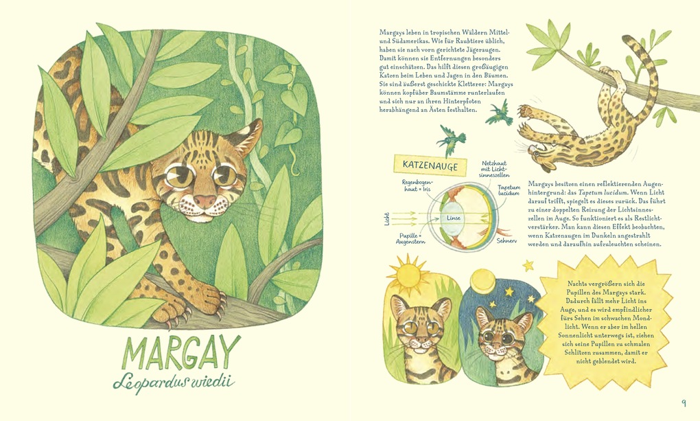 Weitere Ansicht: Geniale Augen | Lena Anlauf