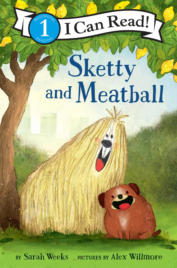 Produktbild: Sketty and Meatball | Sarah Weeks