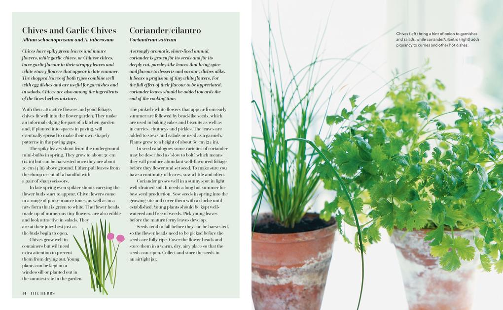 Weitere Ansicht: The Herb Kitchen | Ryland Peters & Small