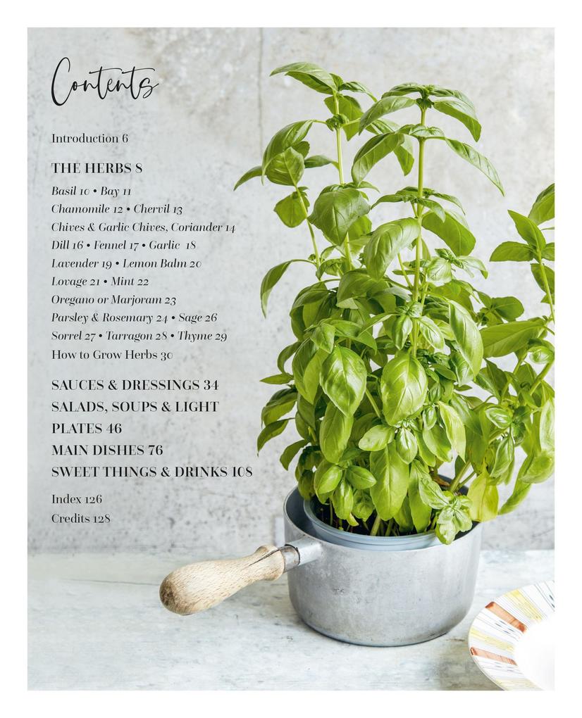 Weitere Ansicht: The Herb Kitchen | Ryland Peters & Small