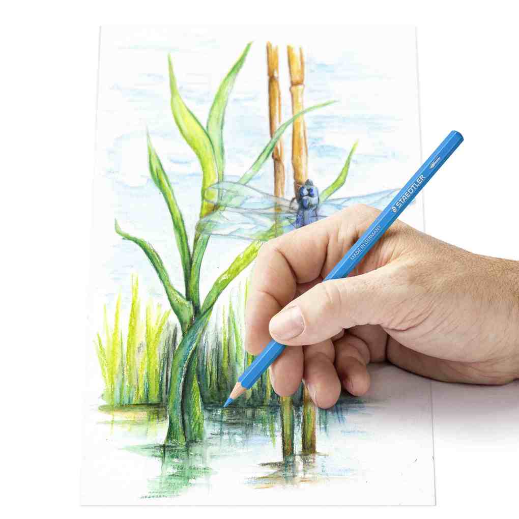 Weitere Ansicht: STAEDTLER Aquarellstifte 146 10C wasservermalbar, 24er Set